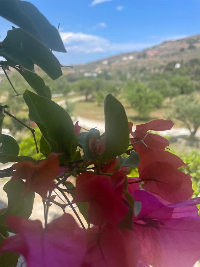 κτήμα ειρήνη * Otzias