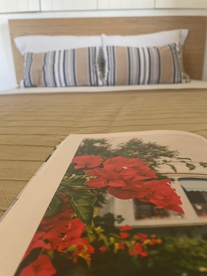 κτήμα ειρήνη * Otzias